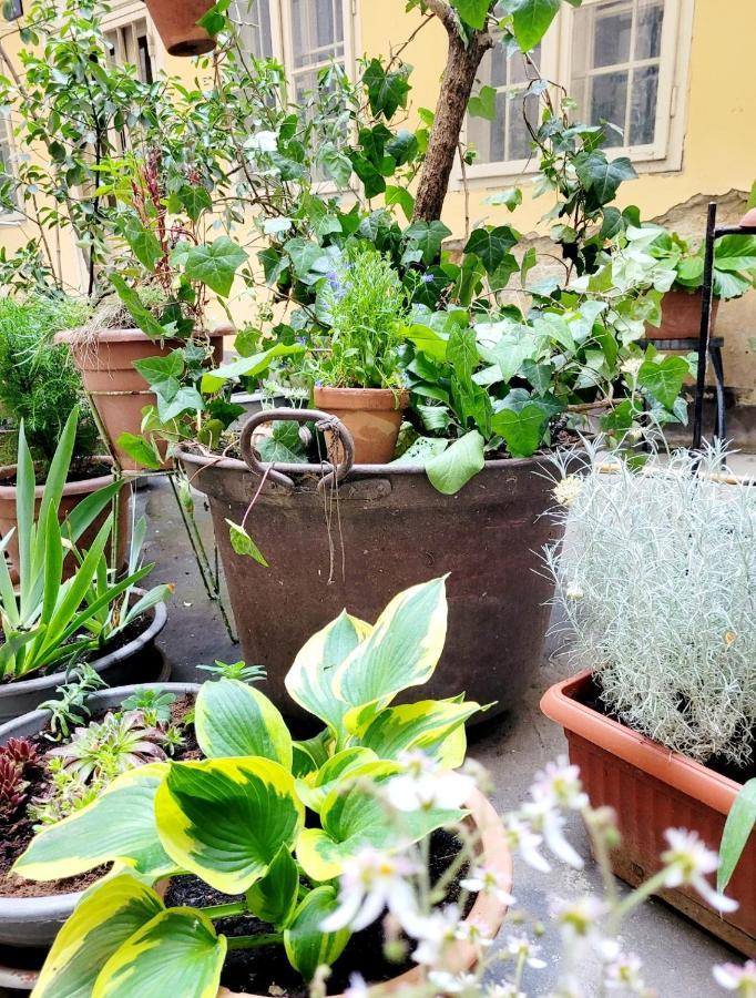 Secret Garden Apartment Zagreb Exterior foto